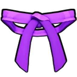 Dojo Belt (Purple)