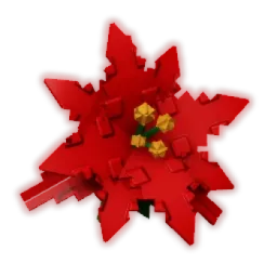 Poinsettia